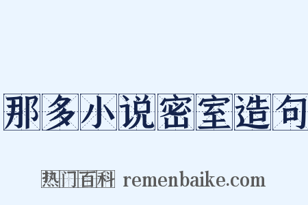 那多小说密室造句是什么意思的图片